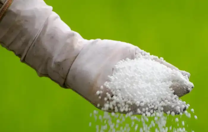 Urea